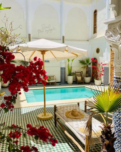 Riad Tamazigh 1