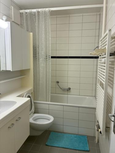 Ruhiges Wohnen im Stadtzentrum von Basel, Basel (Foto 7)