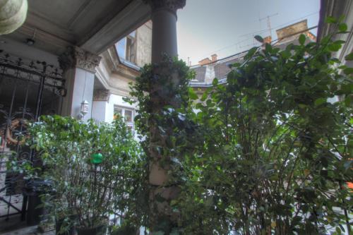 Lavender Circus Hostel Doubles & Ensuites - image 2