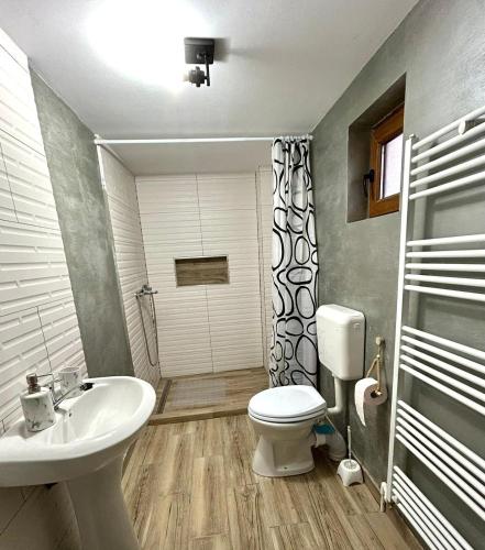 Cabana Ilinca in Salciua
