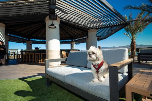 The Nautical Beachfront Resort - image 8