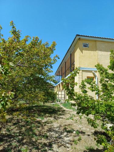 " UMAR " Guest house in Tong