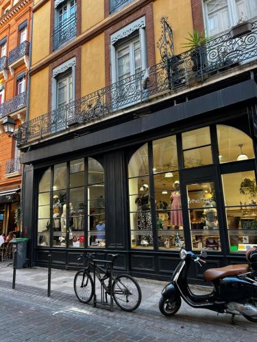 Toulouse Capitole superbe appartement, Toulouse (photo 10)