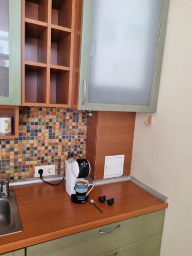 Superior Apartment with Sauna image 3