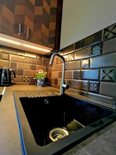 Villa Wellness Budapest, Budapešť (fotografie 6)