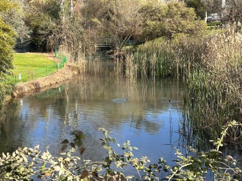 סתלבט בקיבוץ, HaGoshrim (foto 5)