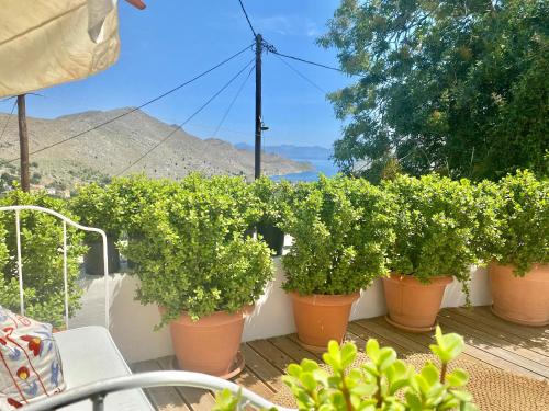 Panorama, Symi (fotografie 8)