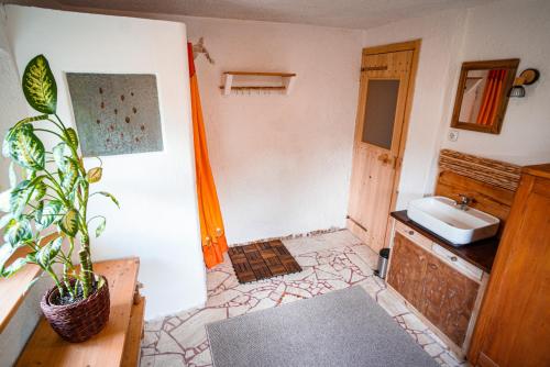 Apartment Sonca