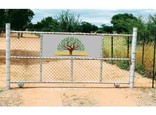 Mophane Camp in Palapye
