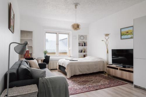 Renovated Top Floor Studio in Kallio, Helsinki (zdjęcie 2)