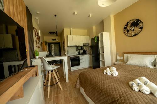 Aqua View Spa Boutique Hotel Room Type - Studio Apartment with Balcony