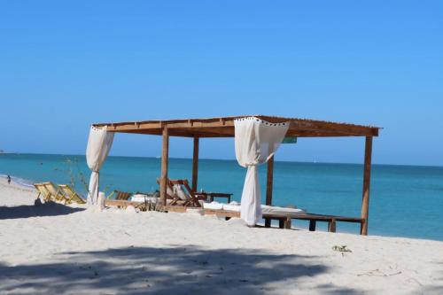 Prince Anakao in Anakao