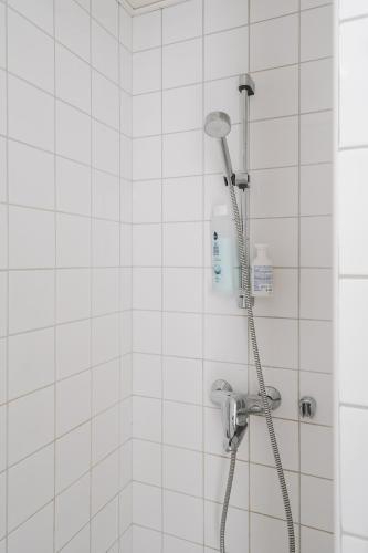 Renovated Top Floor Studio in Kallio, Helsinki (zdjęcie 9)