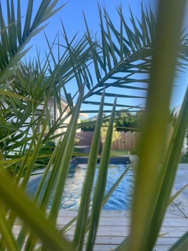 La villa Baie du Lac - Location, gîte - Biscarrosse