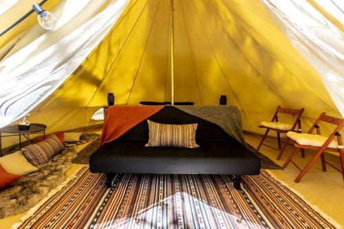 . Pioneering Pet-Friendly Glamping: Mt. Laguna's Original Nature Lovers' Retreat