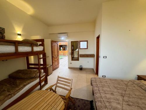 Tree House Hotel Dahab – Dahab, IN