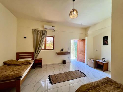 Tree House Hotel Dahab – Dahab, IN