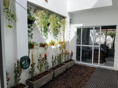 Refúgio Aconchegante no Recife, a Poucos Minutos da UFPE (Refugio Aconchegante no Recife, a Poucos Minutos da UFPE) in กอร์เดย์โร