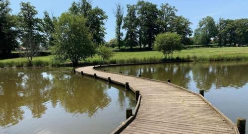 La petite maison de l'etang in Magnac-Laval