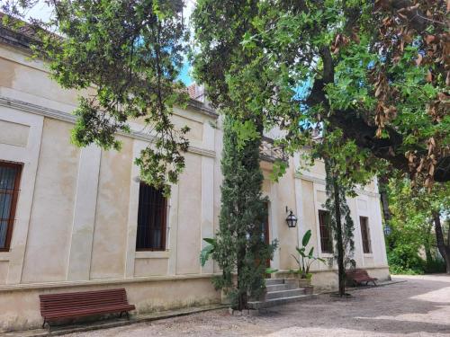 Casa Viña de Alcántara - image 8