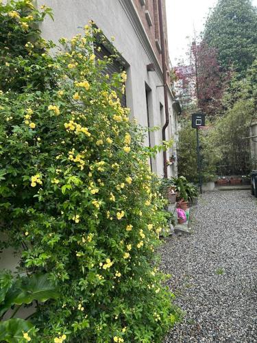 Loft Crimea con patio, Turín
