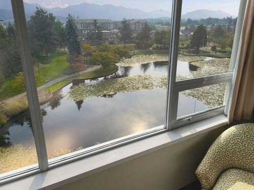 Coast King with Pond View