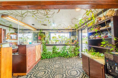 Purple Sage Motel - image 10