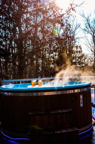 Hot tub, Atostogu namas su baseinu, jacuzzi ir pirtimi in Sendvario