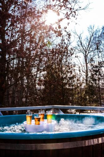 Hot tub, Atostogu namas su baseinu, jacuzzi ir pirtimi in Sendvario