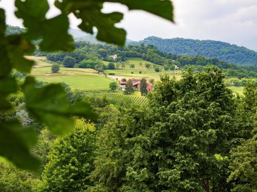 Заобикаляща среда, MASARI ALLA CASA ROSSA Vineyard guest house in Cornedo Vicentino
