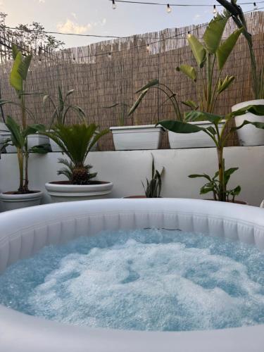 Real suite spa, Palerme (photo 9)