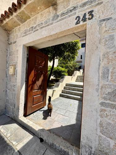 Apartments Radonicic - image 8