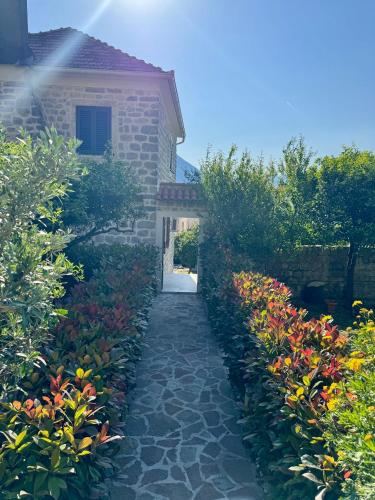 Apartments Radonicic - image 14