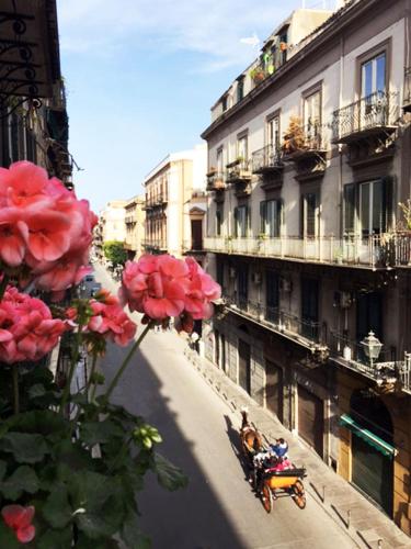 Casakameusa, Palermo (fotografie 7)
