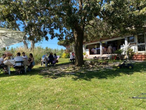 Villa Enli 2