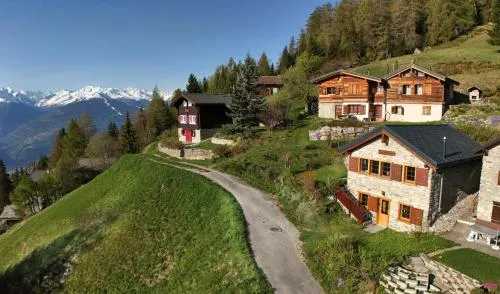 Tiny House facing the Alps - Ski in, Ski out in Anzère, Schweiz