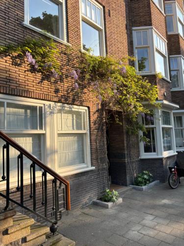 Spacious apartment with garden in City Centre, Amsterdam (photo 10)