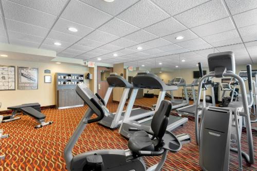 홀리데이 인 익스프레스 시카고-다운너스 그로브 바이 IHG - 피트니스 센터