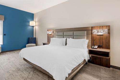 安提阿智选假日套房酒店-洲际酒店集团旗下 (Holiday Inn Express & Suites Antioch By IHG) in 安蒂奥克(TN)