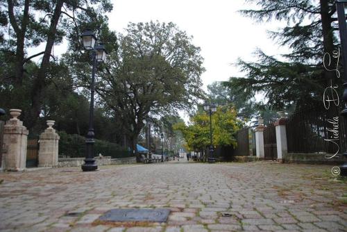 Villa Rosato - image 2