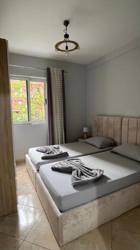 Comfyhome, Tirana (Foto 4)
