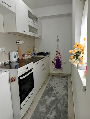 Apartman Nera in Gradacaca