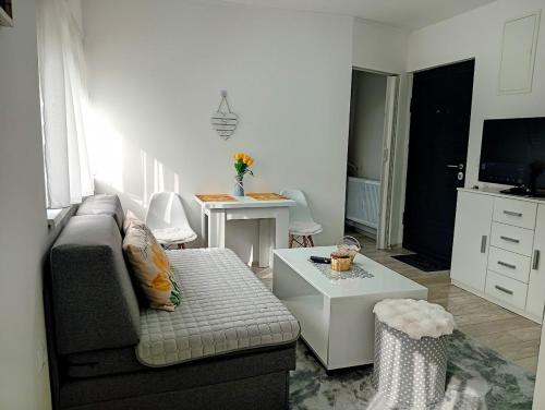 Apartman Nera in Gradacaca