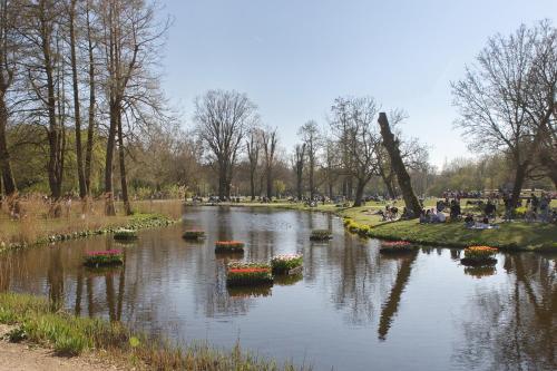 Aadam Hotel Wilhelmina - image 5