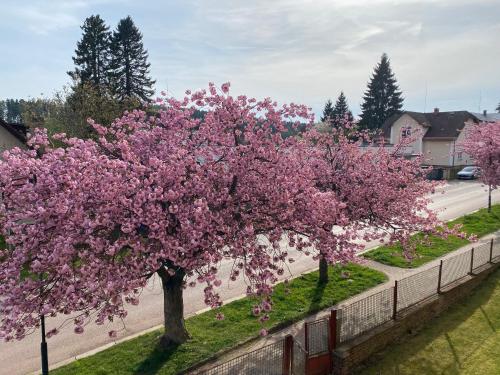 Apartmán Kumburská - Nová Paka (Apartman Kumburska - Nova Paka) in โนวา ปากา