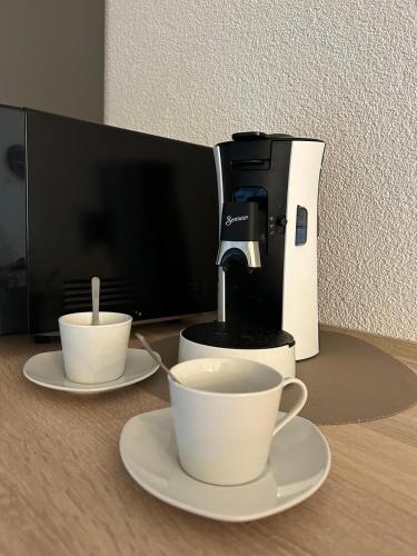 Instalaciones, Stylische Designwohnung direkt am Schloss Bruchsal mit 80 m2 in Bruchsal