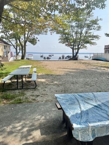 HARMON'S BEACH LIMIT 5 villa - image 5