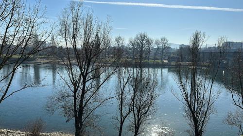 Rhine view, Bâle (photo 5)