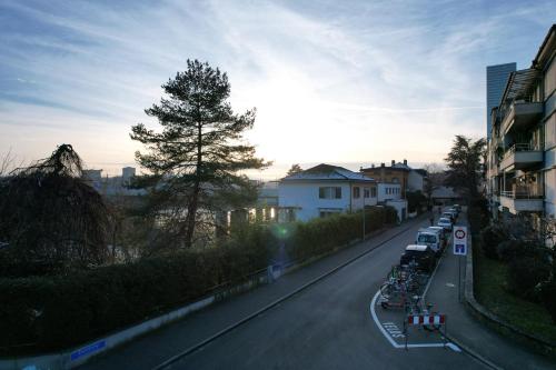 Rhine view, Bâle (photo 6)