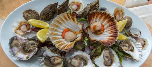 波尔图客房酒店 波尔图客房酒店